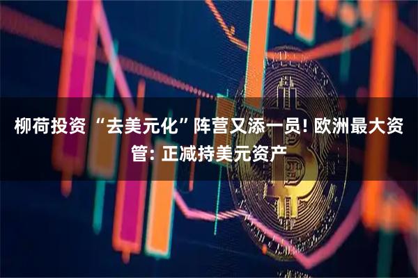 柳荷投资 “去美元化”阵营又添一员! 欧洲最大资管: 正减持美元资产