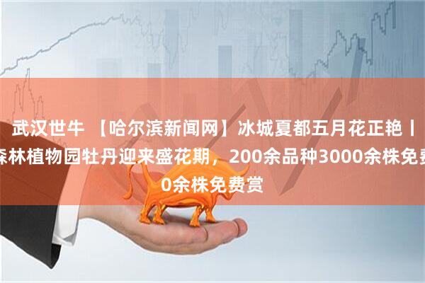 武汉世牛 【哈尔滨新闻网】冰城夏都五月花正艳丨省森林植物园牡丹迎来盛花期，200余品种3000余株免费赏