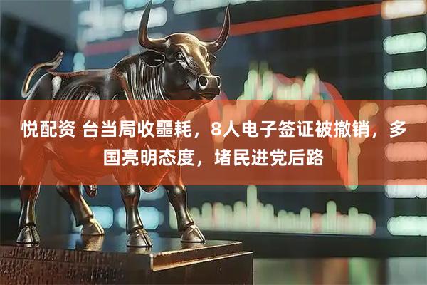 悦配资 台当局收噩耗，8人电子签证被撤销，多国亮明态度，堵民进党后路