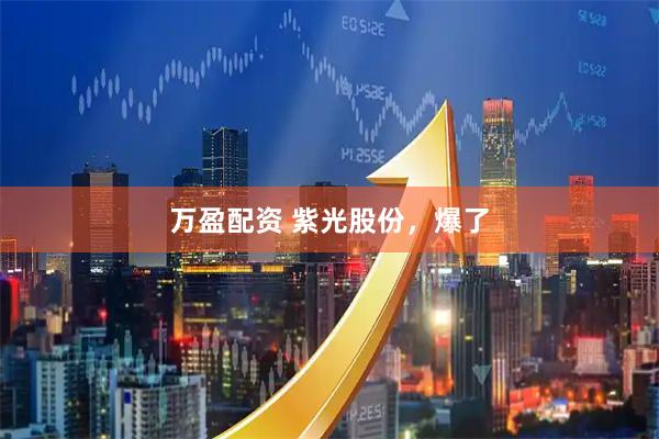 万盈配资 紫光股份，爆了