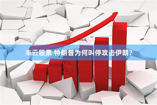 丰云股票 特朗普为何叫停攻击伊朗？